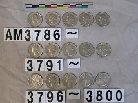 藏品(美國二角五分硬幣)的圖片